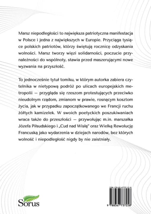Marsz niepodległości - obrazek 2