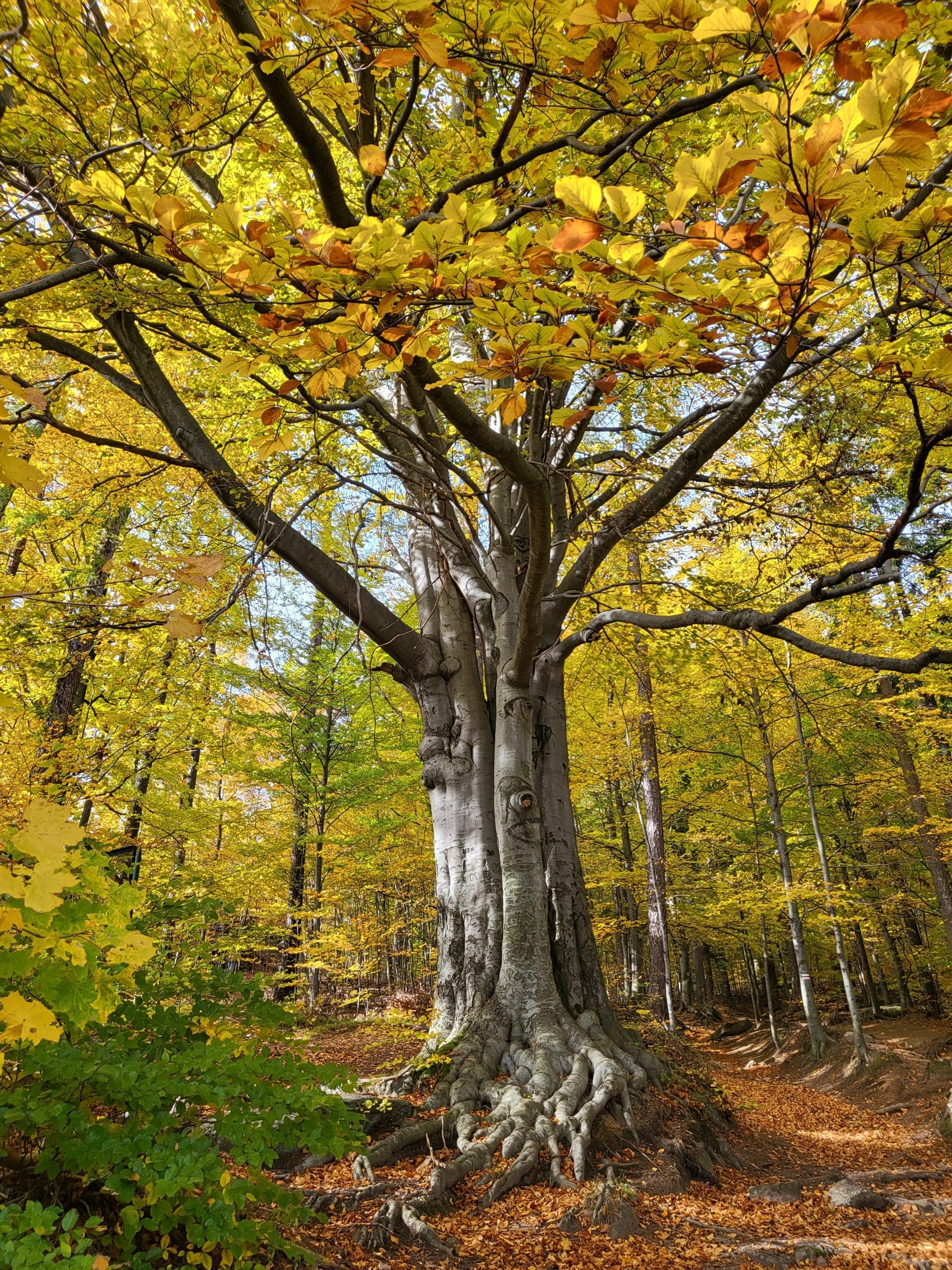 Zaraz (nie) wracam - obrazek 4