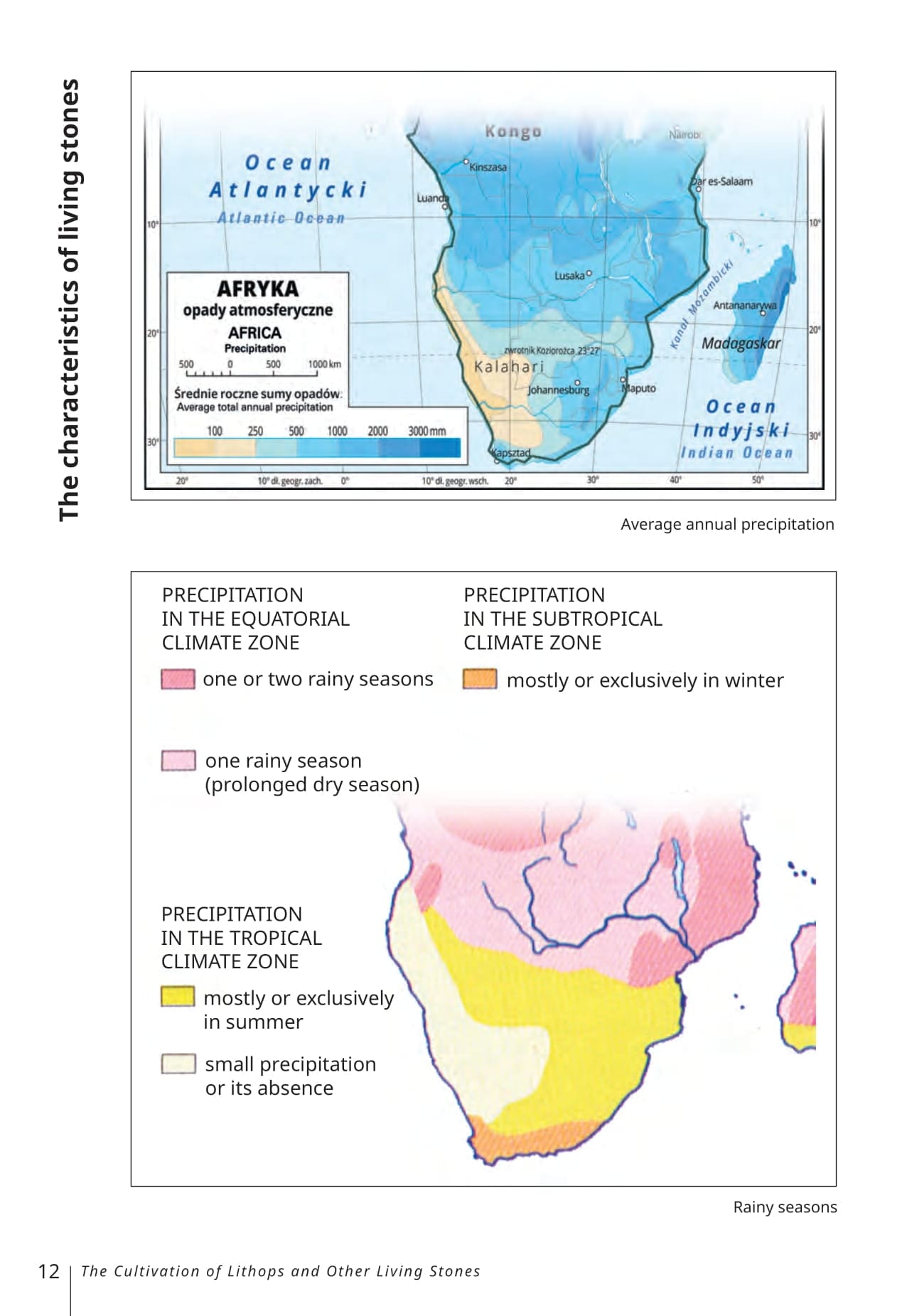 EBOOK The Cultivation of Lithops and Other Living Stones - Image 8